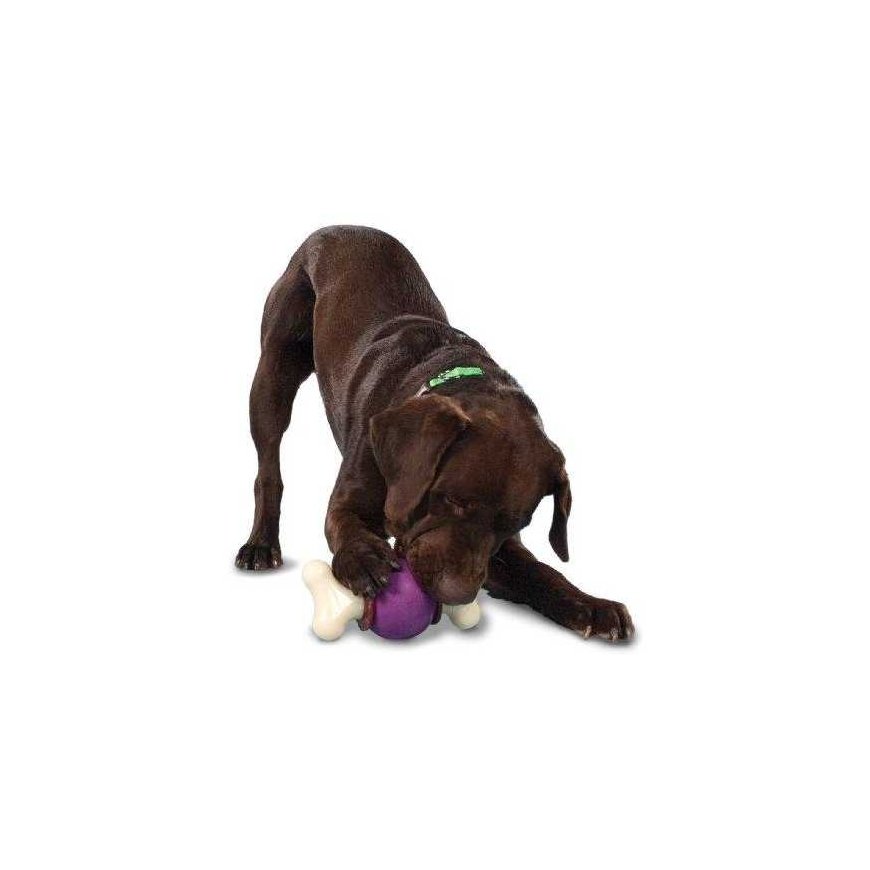 Petsafe Busy Buddy Bouncy Bone L toy bone for treats for large dogs from 22.7 kg weight – 5
