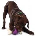 Petsafe Busy Buddy Bouncy Bone L toy bone for treats for large dogs from 22.7 kg weight Petsafe Busy Buddy Bouncy Bone L toy bone for treats for large dogs from 22.7 kg weight