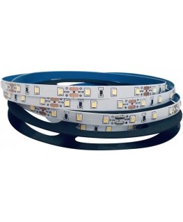 Orno Taśma LED 12V, 2835, 120L/m, 9.6W/m, IP20, 4000K, 5m