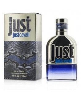Roberto Cavalli Just Cavalli Him 2013 EDT M 30 ml