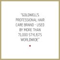 Šampūnas pažeistiems plaukams Goldwell Rich Repair Restoring Šampūnas 250ml