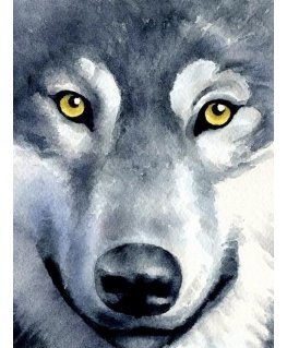 Beldizart Wolf Look 15*20 cm WD2361