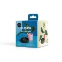 OTOTO Blossom Flower Holder OTOTO Blossom Flower Holder