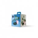 OTOTO Blossom Flower Holder OTOTO Blossom Flower Holder