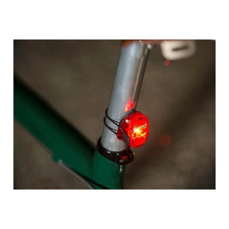 Lighting set Sigma Aura 60 + Nugget II USB – 5