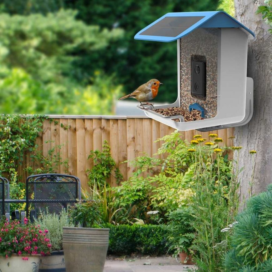 Spacetronik Bird feeder with WiFi camera SP-BF11 program – 3
