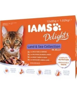 Iams Cat Adult Land & Sea collection in Jelly 12x85g