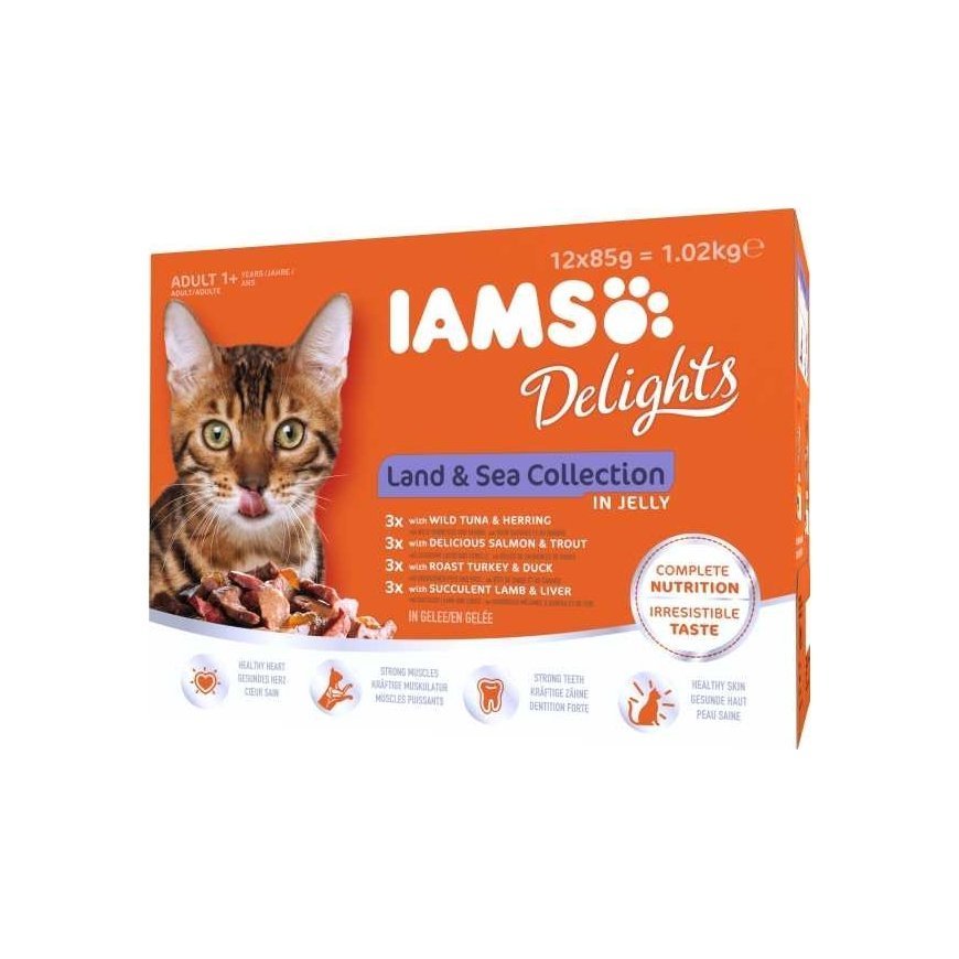Iams Cat Adult Land & Sea collection in Jelly 12x85g