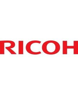 Ricoh 406667 kaitinimo blokas 120000 puslapiai