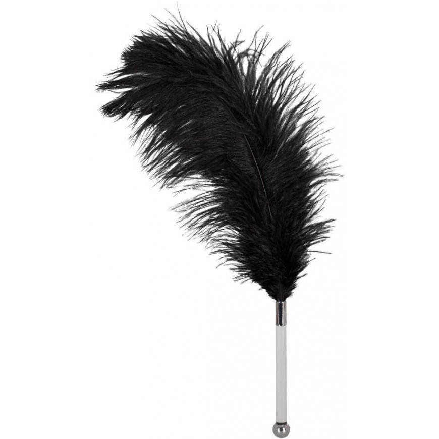 Bad Kitty Orion 2491729 Feather black acrylic