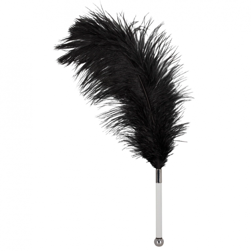 Bad Kitty Orion 2491729 Feather black acrylic – 2