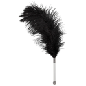 Bad Kitty Orion 2491729 Feather black acrylic Bad Kitty Orion 2491729 Feather black acrylic