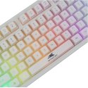 Keyboard Baracuda BGK-01114 Krill White US Keyboard Baracuda BGK-01114 Krill White US