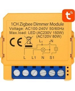 Smart socket switch ZigBee Avatto ZDMS16-1 TUYA