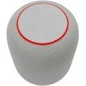 White Shark White Shark GBT-619 Idakka White White Shark White Shark GBT-619 Idakka White
