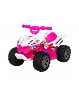 Vehicle Quad THE FASTEST Pink