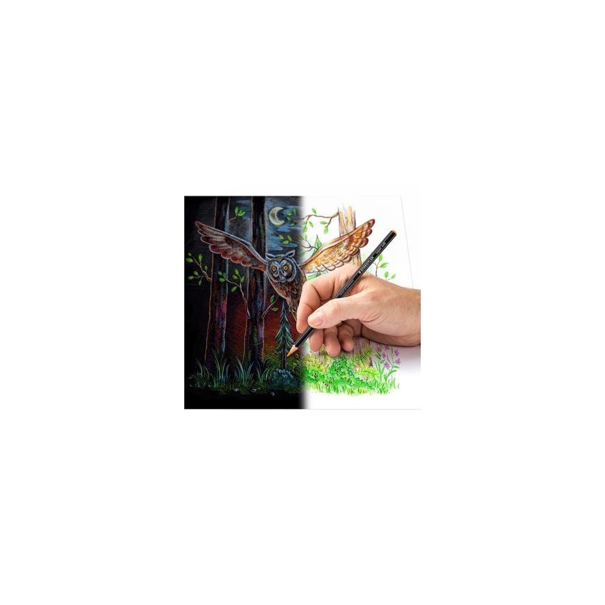 Staedtler 149C Multi spalvos 12 vnt – 5