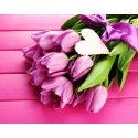 Beldizart IŠPARDAVIMAS (nebegaminamas) Tulpės ir meilė 48*38 cm WD022 Beldizart IŠPARDAVIMAS (nebegaminamas) Tulpės ir meilė 48*38 cm WD022
