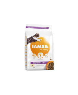 IAMS Kitten (vištiena) 3kg