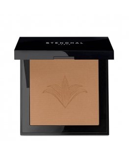 Stendhal Perfecting Compact Powder 131 Ambre 9g
