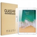 iLike 2,5D serva läbipaistev karastatud klaas Apple iPad Mini 5