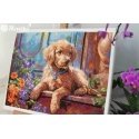 Merejka Embroidery kit 22x28.5 SK235