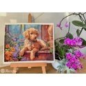 Merejka Siuvinejimo rinkinys 22x28,5 SK235 Merejka Siuvinejimo rinkinys 22x28,5 SK235