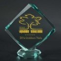 Tryumf Engraved glass trophy with case + paint filling Tryumf Engraved glass trophy with case + paint filling