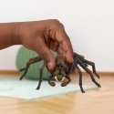 schleich Harry Potter Aragog schleich Harry Potter Aragog