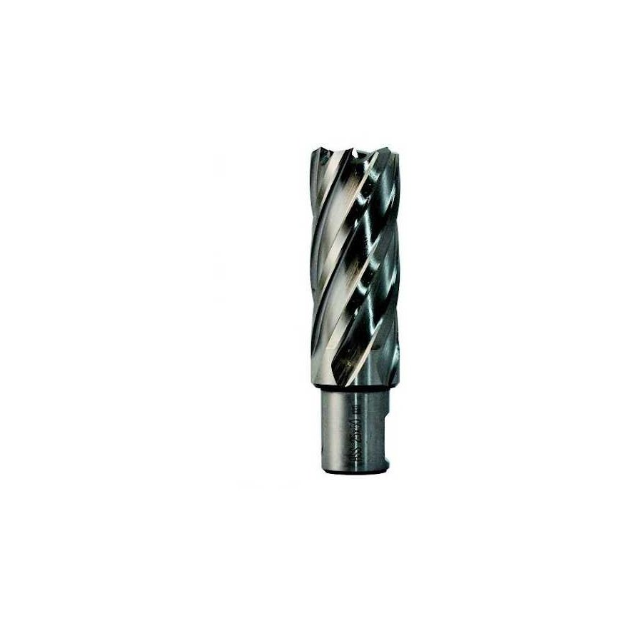 Drill bit Ecef HSS-M2 Weldon 19x30 mm