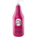 Plaukų spalvą tausojantis šampūnas Stapiz Acid Balance Acidifying 1000ml