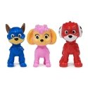 PAW Patrol PAW FIG Pup Squad Fig GP PPTMM VCHX GML