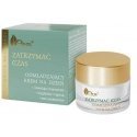 Ava Laboratorium Zatrimnyj Czas odmładzający day cream 50ml