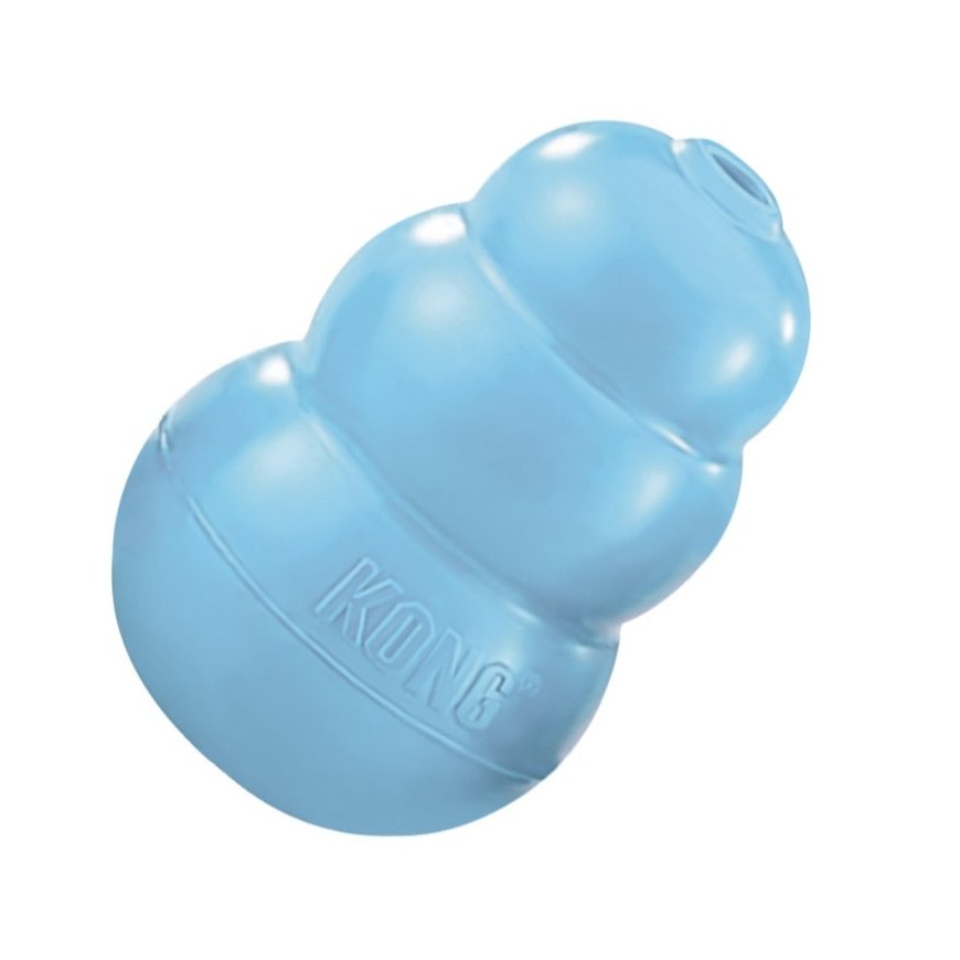 KONG Puppy