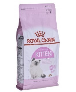 Royal Canin FHN Kitten lolojumdzīvnieku barība (2 kg)