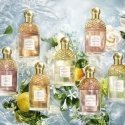 Guerlain Aqua Allegoria Flora Salvaggia 75 ml Naised