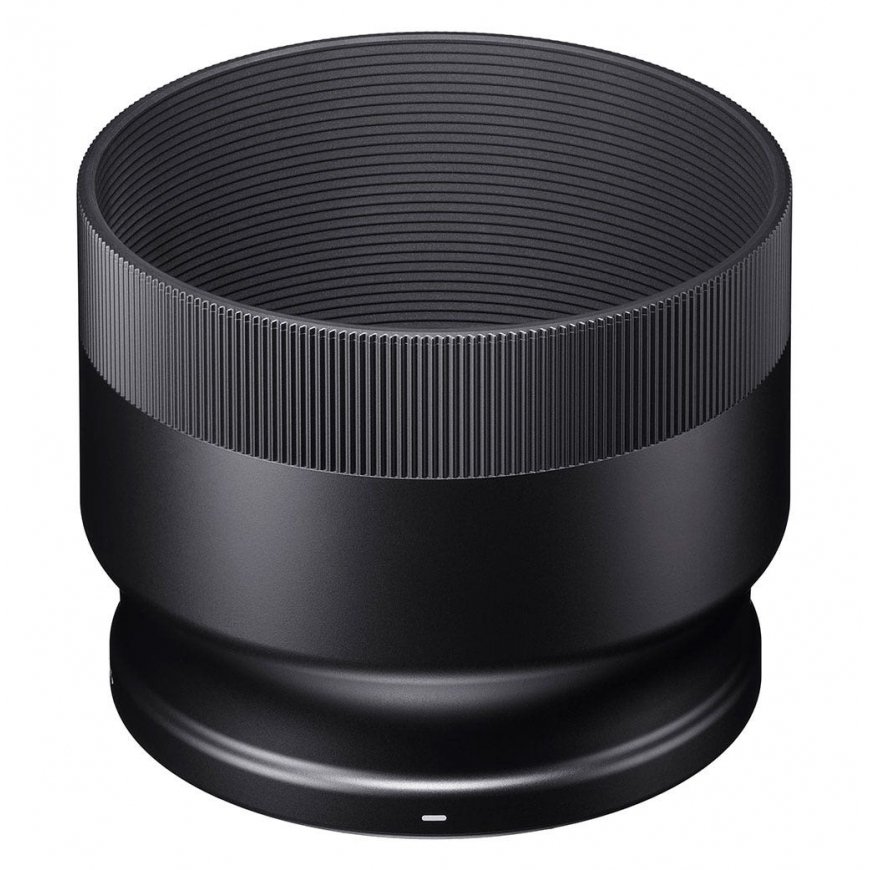 Sigma 100-400mm F5-6.3 DG DN OS | Contemporary Fujifilm X – 5
