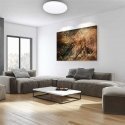 Lubinis šviestuvas MILAGRO SIENA ML263, 72W, LED