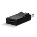 Lindy 41089 kabelių lizdinio / kištukinio jungčių tipo keitiklis DisplayPort Mini DisplayPort Juoda
