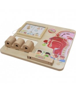 MASTERKIDZ educational olfactory board