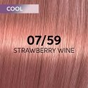 Hair dye Wella Professionals Shinefinity Glaze 60ml