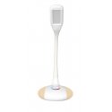 Activejet AJE-VENUS RGB laualamp Mittevahetatav(ad) pirn(id) 5 W LED G Valge Activejet AJE-VENUS RGB laualamp Mittevahetatav(ad) pirn(id) 5 W LED G Valge