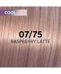Hair dye Wella Professionals Shinefinity Glaze 60ml