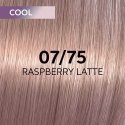 Hair dye Wella Professionals Shinefinity Glaze 60ml