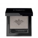 Stendhal magnifying eyeshadow 501 Platine 2.5g Stendhal magnifying eyeshadow 501 Platine 2.5g