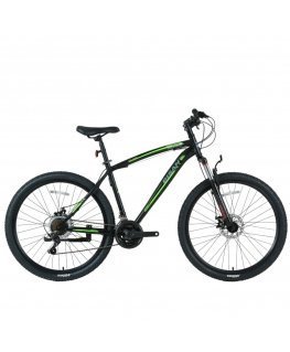 Mountain bike Bisan 29 MTS4600 MD (PR10010447) black/green (19)
