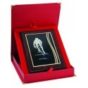 Tryumf Plastic diploma with engraved metal plate + case