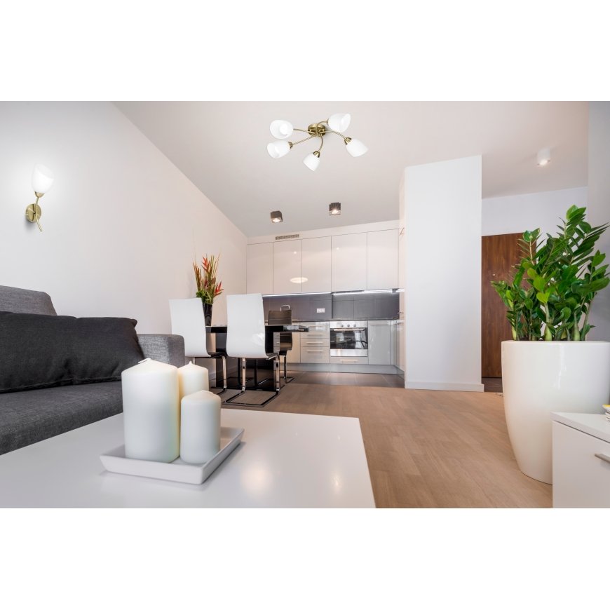Activejet AJE-BENITA 5P PATYNA seinavalgusti E27 40 W – 5