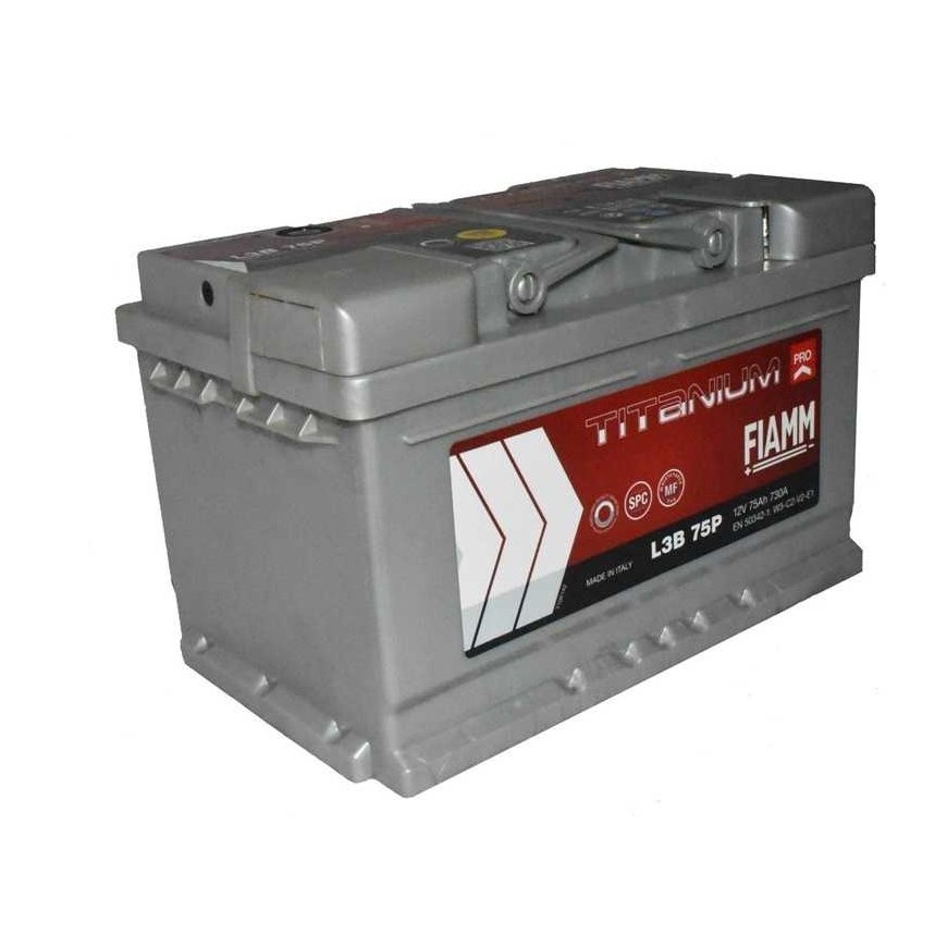 Akumuliatorius Fiamm L3B 75P, 75 Ah, 730 A, 12 V – 3