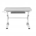 Ergo Office bērnu ergonomisks rakstāmgalds ar regulējamu augstumu, pelēks, max 100kg, ER-417 2cz Ergo Office bērnu ergonomisks rakstāmgalds ar regulējamu augstumu, pelēks, max 100kg, ER-417 2cz
